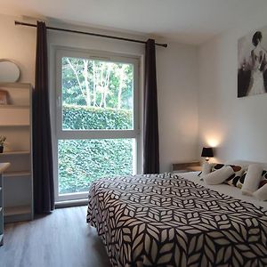 Standaard Studio met een King Size Bed